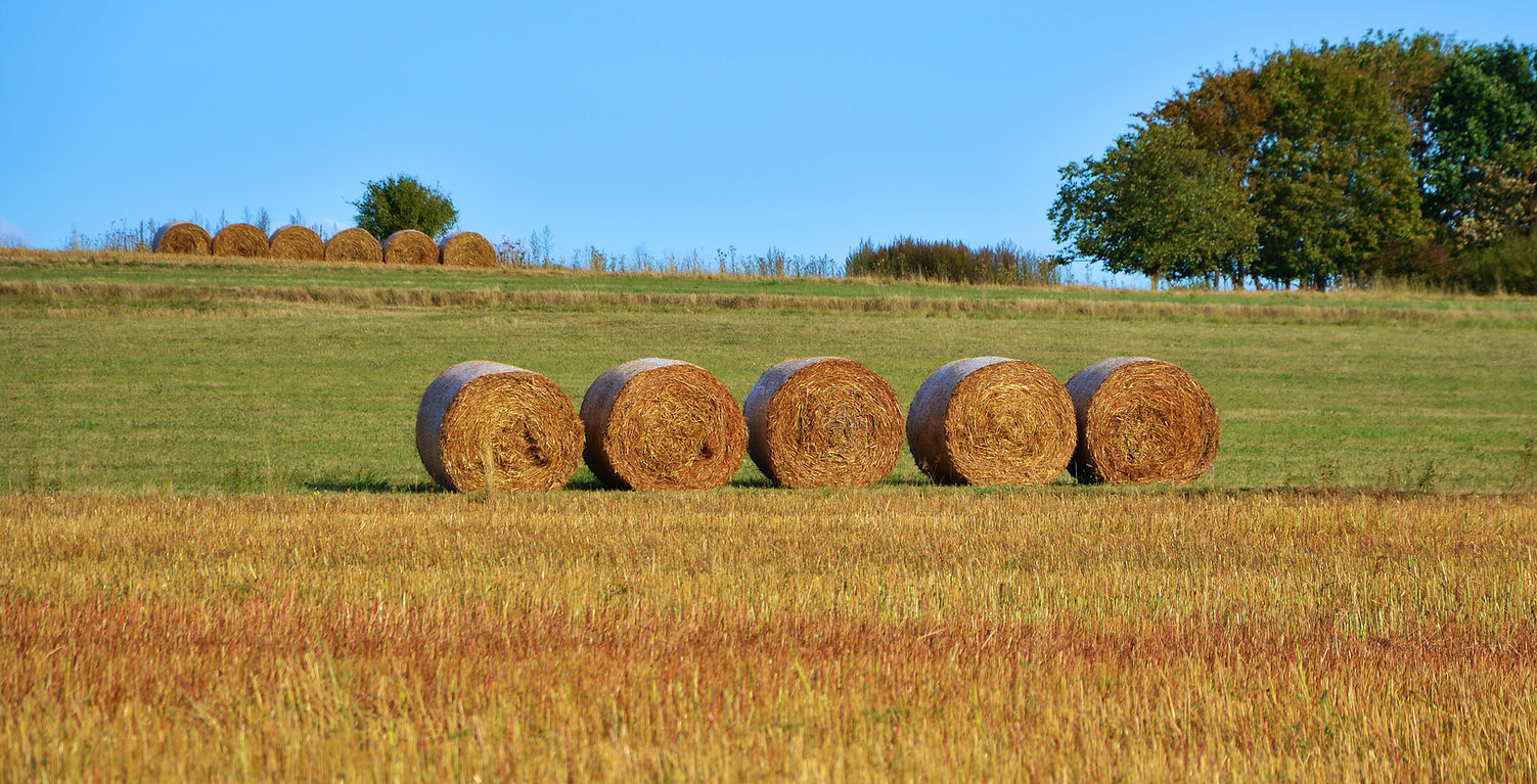Hay Barrels